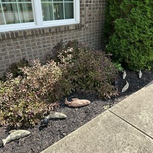 Heavy Clay Fish Swimming Yard Art